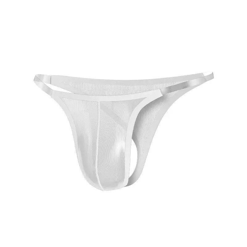 Gay Men See-Through Mesh Sexy Lingerie Thong G-string