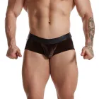 boxer 005.1
