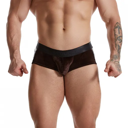 boxer 005.1