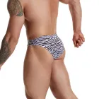 Zebra-tripe Men's Sexy Briefs Underwear