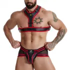 Adult Gay Leather Harness Set