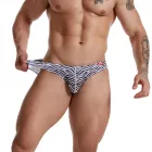 Zebra-tripe Men's Sexy Briefs Underwear