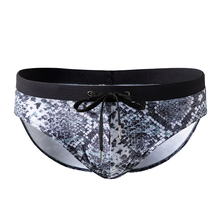 Mens Speedo Brief Swimwear
