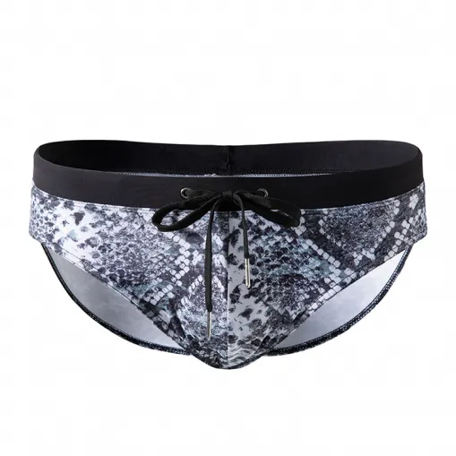 Mens Speedo Brief Swimwear