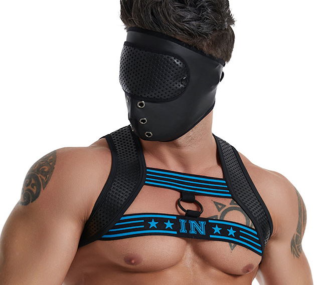Why do so many gays wear harness?