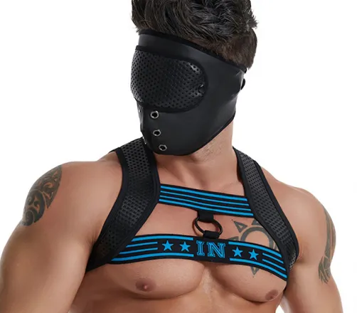 Why do so many gays wear harness?