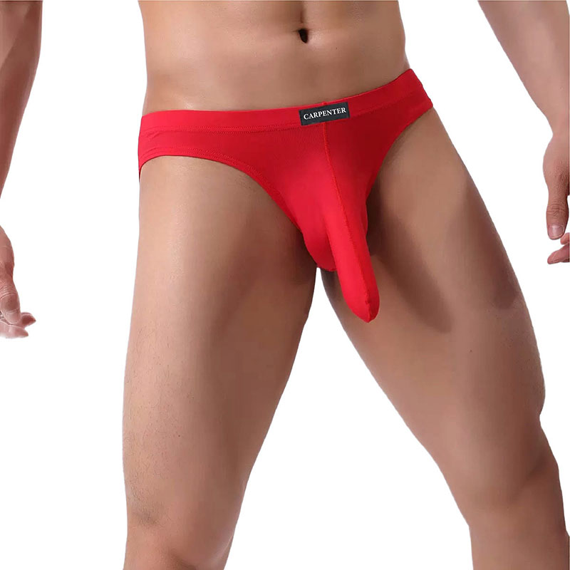 Elephant's Trunk Men's Briefs Underwear