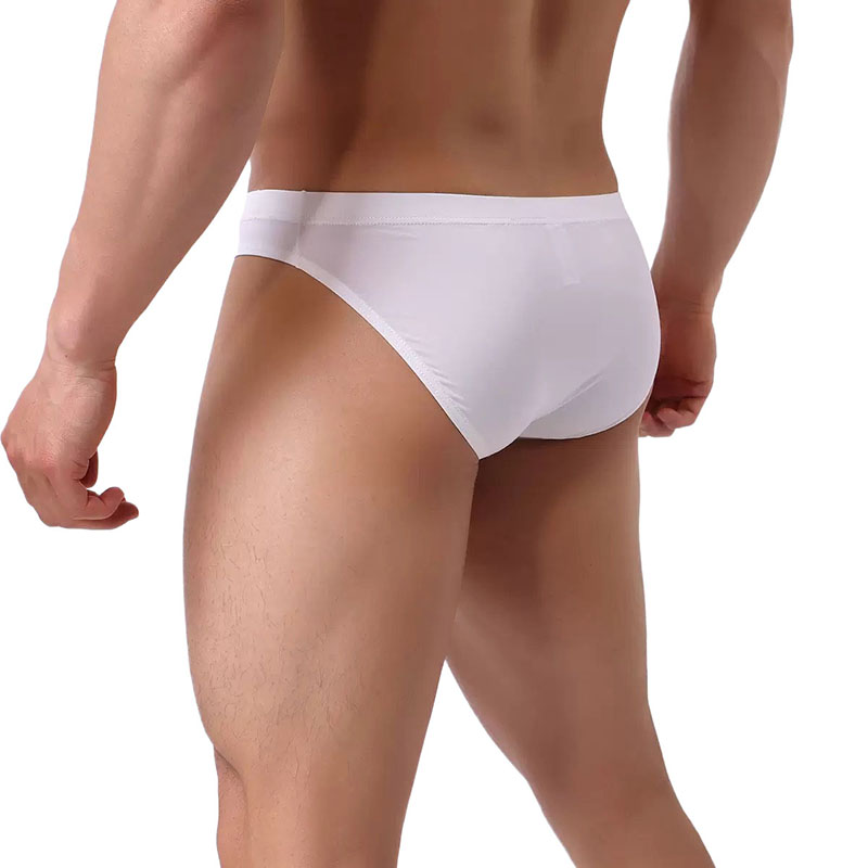 Elephant's Trunk Men's Briefs Underwear