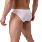 Elephant's Trunk Men's Briefs Underwear