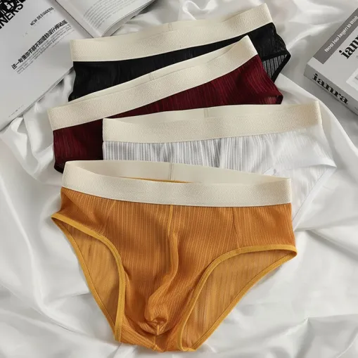 Customized Color Mesh Transparent Men's Brief