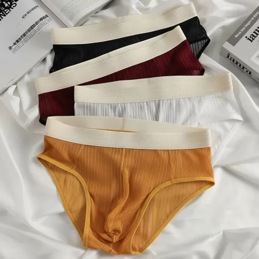 Customized Color Mesh Transparent Men's Brief