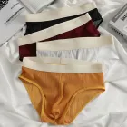 Customized Color Mesh Transparent Men's Brief