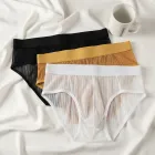 Customized Color Mesh Transparent Men's Brief