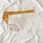 Customized Color Mesh Transparent Men's Brief