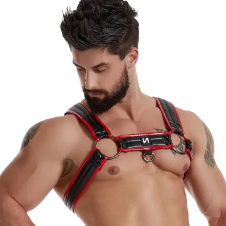 Why Do Gay Men Wear Harnesses?